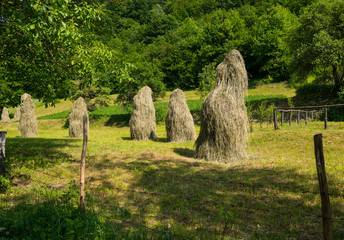 Haystacks  in the garden