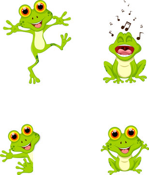 funny 4 frog cartoon