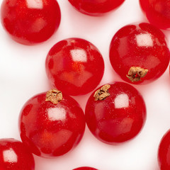 Red Currant isolated over white background