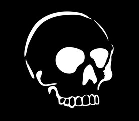 skull head vector