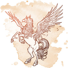 Hippogriff or Hippogryph supernatural beast. Sketch on a grunge background
