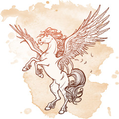 Pegasus supernatural beast. Sketch on a grunge background