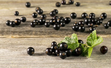 Black currant on wooden table with leaf sprig