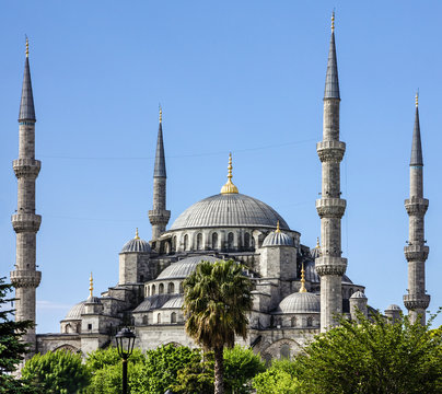 Istanbul, Turkey. Blue mosque Sultanahmet