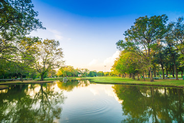 Fototapeta premium Sunset in the beautiful park with pond nature