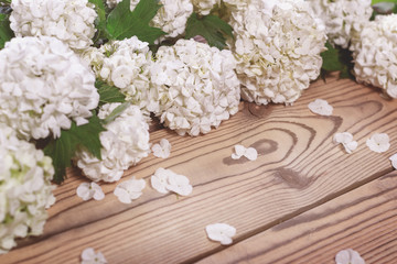 Flowers decorative viburnum on a wooden background