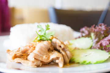 Pork fried with crunchy garlic ,Thai food