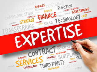 Expertise related items words cloud, business concept