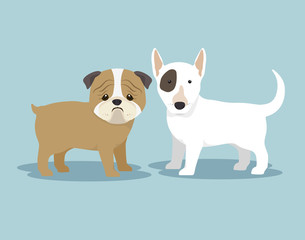 purebred dogs design 