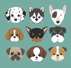 purebred dogs design 