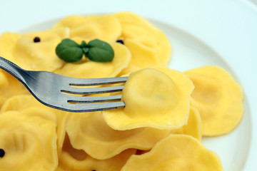 raviolis 08062016