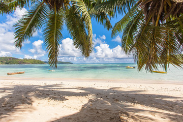 plage d'Anse Boileau sous les cocotiers, Mahé, les Seychelles 