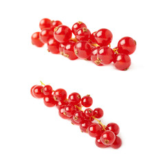 Set of Red Currant isolated over white background