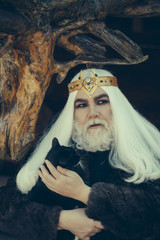 Old druid with cat
