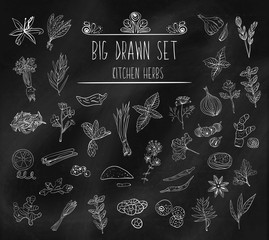 Set of various doodles, hand drawn rough simple sketches of various types of spices and herbs.