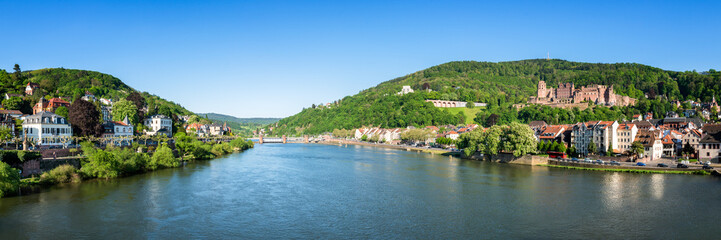Fototapeta na wymiar Heidelberg Panorama im Sommer