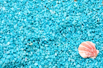 sfondo marino con sassolini azzurri e una conchiglia