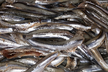 Anchovies, close up