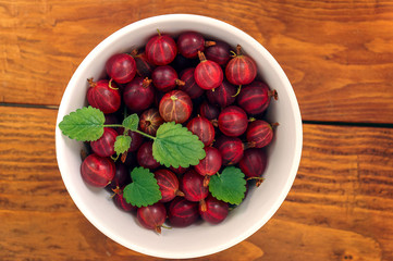 gooseberry
