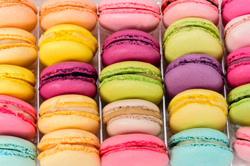 macro multicolored french macaroon