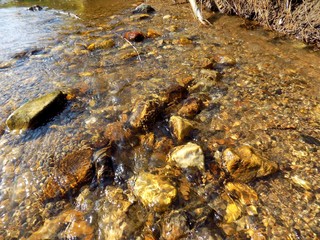 Creek in wild nature during sunny day