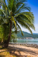 Fototapeta na wymiar Beautiful tropical beach at island Koh Chang