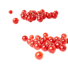 Red Currant isolated over white background