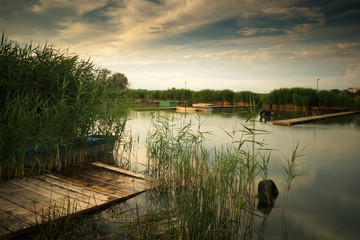 Summer lake pier reed landscape boat