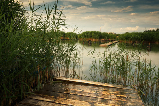 Summer lake pier reed landscape boat © Creaturart