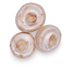 Closed cup mushrooms