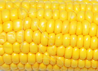 Corn on the Cob