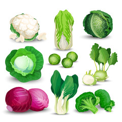 Vegetable set with cabbages