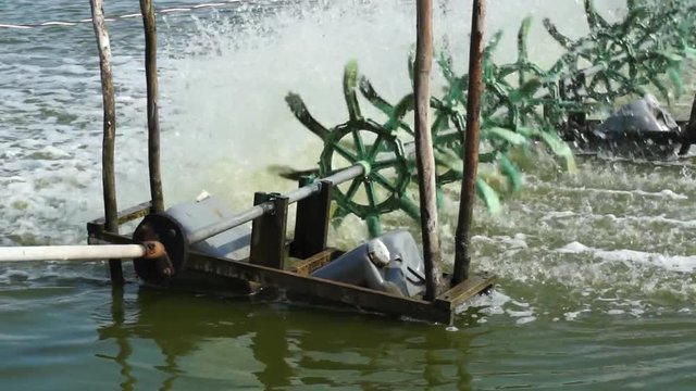 Water treatment through water turbines in fishing pond