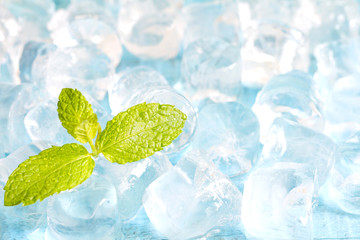 Ice cubes and fresh mint leaves abstract background on blue boards
