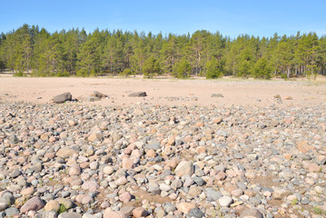 Beach on Ladoga lake at morning.