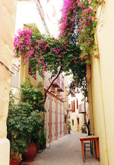Fototapeta na wymiar traditional street among bougainvillaea in chanya city Greece