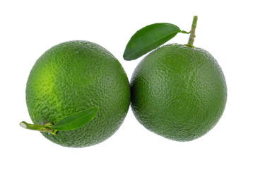 Sweet Orange isolated on white background