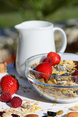 A delicious and healthy breakfast in the garden of muesli with milk, nuts, berries