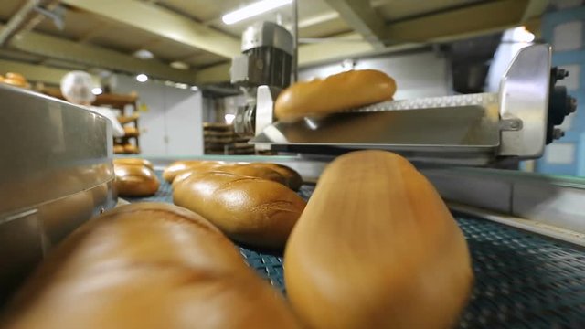 fresh bread on the conveyor