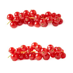 Set of Red Currant isolated over white background