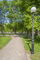 Alee In The Spring Park