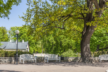 Springtime In The City Park
