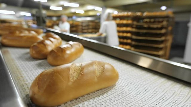 Bread on the conveyor in the background of the workers in the bakery