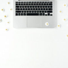 Workplace with laptop and chamomile buds. Flat lay composition for bloggers, magazines, social media and artists. Top view.