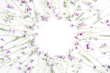 frame with bluebell flowers isolated on white background. flat lay, overhead view