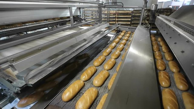 Production of bread in factory