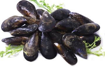 seafood, mussels