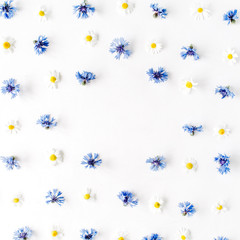 floral frame with cornflowers and chamomile white background. Flat lay, top view