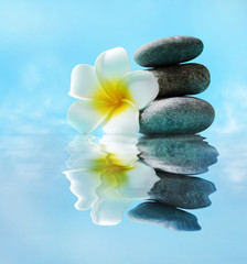 Spa stones and flower on water