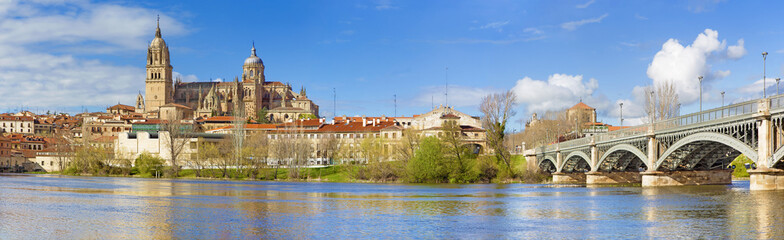 Salamanca - The Cathedral and bridge Puente Enrique Estevan Avda and the Rio Tormes river. - obrazy, fototapety, plakaty
